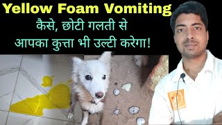 Dog vomiting home remedy [upl. by Zobias]