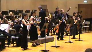 Mozart Sinfonia Concertante in Eb Major  I Allegropart 1 [upl. by Bush]