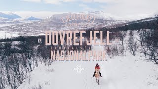 Dovrefjell Nasjonalpark  Fjellfolket  S01E02 [upl. by Ahsimek]