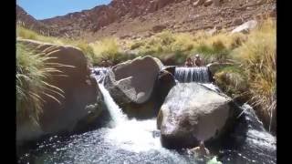 Puritama Hot Springs Atacama Desert Chile [upl. by Nema]