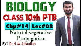 Natural vegetative propagation  Asexual Reproduction  Chapter  14  Biology Class 10th  Lec08 [upl. by Aenel]