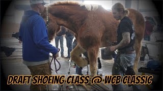 Shoeing Draft Horses at World Championship Blacksmiths Competition Day 1 Classic Spy Coast Farm [upl. by Mcclish]