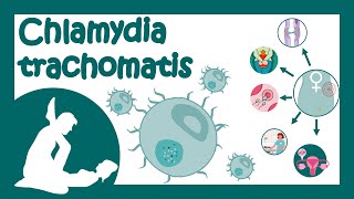 Chlamydia trachomatis  Chlamydial infection  Sexually transmitted disease  Treatment of Chlamydia [upl. by Alvie]