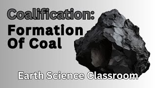 How Does Coal Form What Is Coalification [upl. by Petulah342]