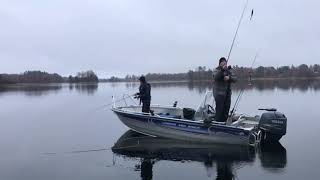 2 dagars fiske på bolmen [upl. by Nnylak]