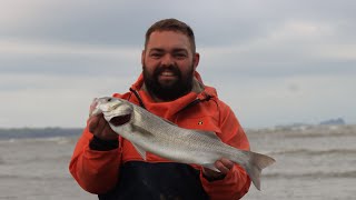 Fishing for big bass on a Welsh surf beach [upl. by Llenaj]