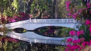 West Ashley Flyover Take a Tour Charleston SC [upl. by Nonnair]