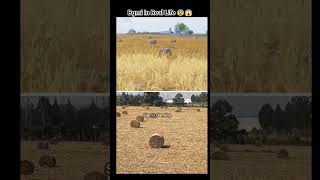 Pubg Bgmi location in real life bgmivideos pubgmobile bgmi pubg [upl. by Trotta]