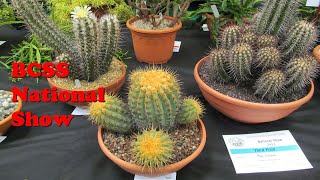 British Cactus and Succulent National Show ENG succulents [upl. by Mirelle831]