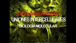 Uniones intercelulares  HistologíaBiología molecular [upl. by Brick]