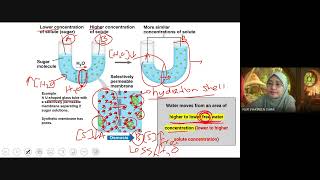 BIO091 Week 6  Chapter 3 Plasma Membrane Transport [upl. by Newob]