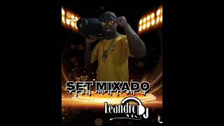 SET MIXADO FUNK SEM PALAVRÃO 2024 DJ LEANDRO VIX [upl. by Etnoel]