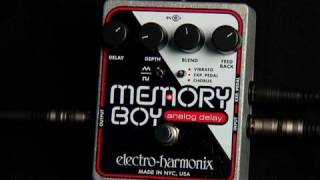 Electro Harmonix Memory Boy Analog Delay [upl. by Hands]