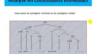 Cours La représentation arborescente  Morphosyntaxe [upl. by Oile134]