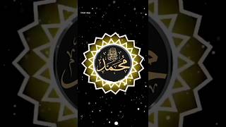 Mar habaya Mustafa ll Status Naat ll MohdHabeeb naat status mustafa [upl. by Hiller]