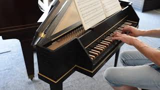 La Sarabande de Haendel sur clavecin épinette JC Neupert par JYPB [upl. by Yorke]