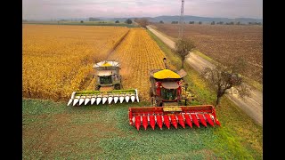 CASE IH Axial Flow 9250 amp CLAAS Lexion 770  Corn Harvest 2021🌽 Rostěnice as 22 4K [upl. by Zeret]