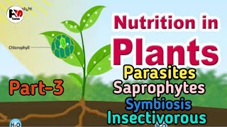 nutrition in plants class7 scienceparasitesaprophytesymbiosis insectivorous [upl. by Fernandina]