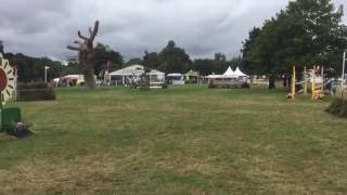 Eventers challenge Blenheim 2016 [upl. by Adnim]