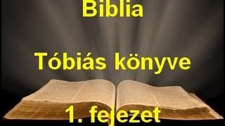 A Biblia  Tóbiás könyve 1 fejezet [upl. by Akemyt325]