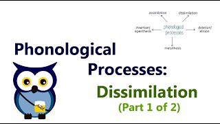 Phonological Processes Dissimilation Part 1 of 2 [upl. by Eillod981]