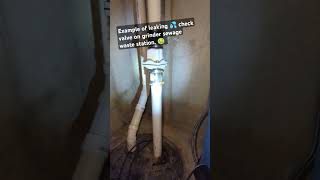 💦 Leaking check valve on grinder sewage waste station youtubeshorts shortvideo shorts plumbing [upl. by Nanah135]