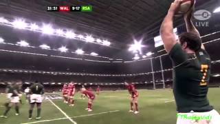 Wales vs South Africa 9 Nov 2013 [upl. by Mir]