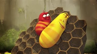 LARVA  EL ABEJORRO  2018 Completa  Dibujos animados para niños  WildBrain Videos For Kids [upl. by Ezalb]