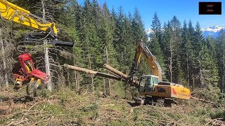 Windwurfaufarbeitung mit LIEBHERR 924  CAT 323F  CAT 323E  Komatsu PC210  TR AQ 30  MS 462 [upl. by Lada]