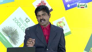 KALVI TV OFFICIAL  முப்பரிமாணம்  STD 12 TM  BIO ZOOLOGY  மூலக்கூறு உயிரியல்  PART 02 [upl. by Hepsoj]