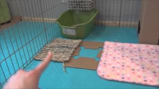 How to set up your rabbits cage [upl. by Einatirb]