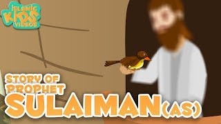 Prophet Stories In English  Prophet Sulaiman AS Story Stories Of The Prophets  Quran Stories [upl. by Codie]