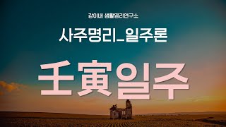 일주론  임인壬寅일주 탄생 창의적 아이디어 [upl. by Heer]