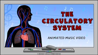 Circulatory System  How The Heart Works  Animated Music Video [upl. by Ikoek]