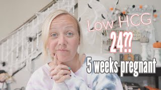 Low HCG Results at 5 Weeks Pregnant After 2 Miscarriages [upl. by Kutzer777]