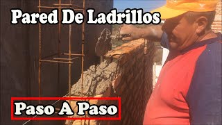 Como Aprender A Pegar Ladrillos  Hacer Pared [upl. by Ynattir756]