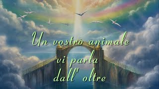 Un vostro caro animale vi parla dalloltre Canalizzazione [upl. by Jacobo257]