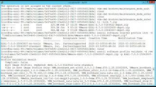 Upgrade Host ESXi 67 to 70 [upl. by Creight]