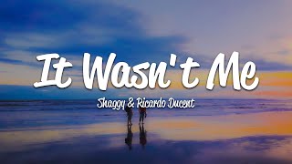 Shaggy  It Wasnt Me Lyrics ft Ricardo RikRok Ducent [upl. by Anoet733]