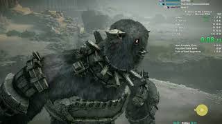 Shadow of the Colossus Speedrun in 12547 PS4WR [upl. by Ingrim]