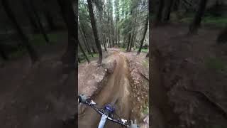 Hafjell bikepark mtb mtblife [upl. by Meedan]