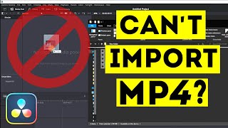 Why Cant You Import MP4 in Davinci Resolve  Easy Fix [upl. by Fernald]