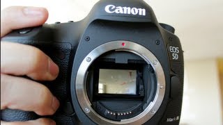 Canon EOS 5D Mark III Camera First Look amp Features Breakdown [upl. by Enovi]