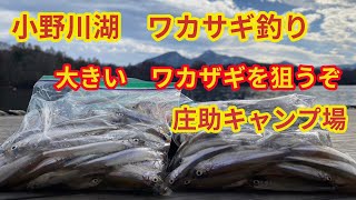 2023年11月23日 小野川湖 わかさぎ釣り デカサギの引きは最高 外道は怖いよ再 庄助キャンプ場 [upl. by Oinota]