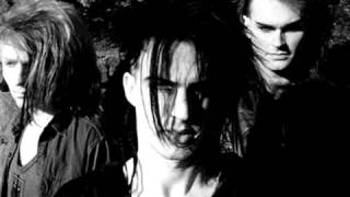 Skinny Puppy Assimilate [upl. by Ablem269]