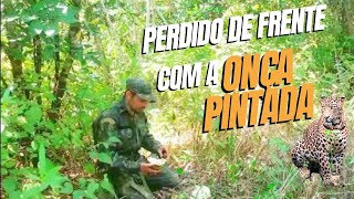 12 horas perdido na mata de cara com a onça pintada [upl. by Farris117]