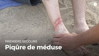 Premiers secours  Piqure de méduse  Secourisme [upl. by Amekahs]