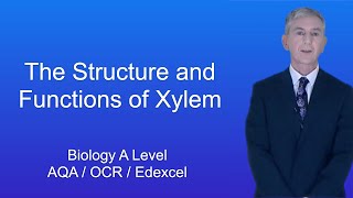 A Level Biology Revision quotThe Structure and Functions of Xylemquot [upl. by Maxia]