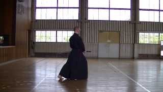 Toyama Ryu Iaido Yamaguchiha [upl. by Anissa857]