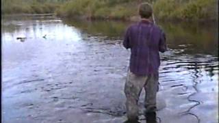 Unbelievable Brook trout [upl. by Osrick]